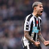 Newcastle United midfielder Bruno Guimaraes. (Photo by George Wood/Getty Images)