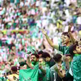 Saudi Arabia beat Argentina in the first major World Cup shock this year (Image: Getty Images)