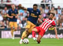 Newcastle United and Athletic Bilbao met in pre-season. (Photo by Stu Forster/Getty Images)