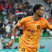 Cody Gakpo stars for Netherlands at World Cup 2022