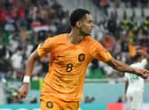 Cody Gakpo stars for Netherlands at World Cup 2022