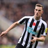 Newcastle United striker Chris Wood. (Photo by George Wood/Getty Images)