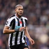 Newcastle United midfielder Joelinton.  (Photo by George Wood/Getty Images)