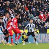 Fans dressed as Santa Claus are seen watching on from the stands during the friendly match between Newcastle United and Rayo Vallecano (Photo by Stu Forster/Getty Images)