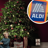 Aldi is selling a real Christmas tree for under £15