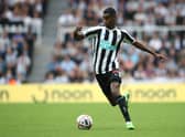 Newcastle United striker Alexander Isak. (Photo by Jan Kruger/Getty Images)