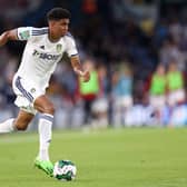 Drameh has been linked with a move to Newcastle after becoming discontent at Leeds United. The defender is a talent at 21, and Newcastle have shown they want to add young talents to their squad. This one goes down as likely.