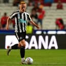Newcastle United midfielder Matty Longstaff. (Photo by Gualter Fatia/Getty Images)