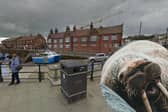 A walrus called Thor was spotted having a rest at Scarborough Harbour ahead of the New Year