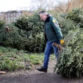 The first week of January sees households flock to recycle their tree and move on from Christmas festivities (Image: Getty Images)
