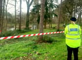 Oakwood Pond in Harlow.  