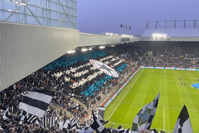 A snap of the Wor Flags display taken by Clayton