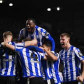 Newcastle United player ratings from the 2-1 defeat at Sheffield Wednesday in the FA Cup. 