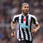 Joelinton will appear in court later this month (Image: Getty Images)