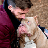 Aaron Chalmers dog, Lenny