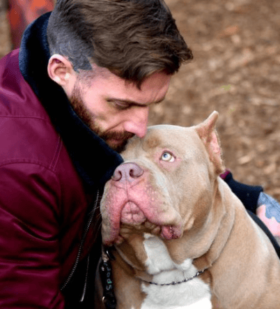 Aaron Chalmers dog, Lenny