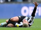 Newcastle United midfielder Bruno Guimaraes. (Photo by Michael Regan/Getty Images)