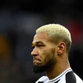 Newcastle United midfielder Joelinton. (Photo by OLI SCARFF/AFP via Getty Images)