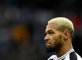 Newcastle United midfielder Joelinton. (Photo by OLI SCARFF/AFP via Getty Images)