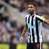 Callum Wilson gave his opinion on the type of striker West Ham need (Image: Getty Images)