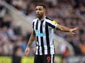 Callum Wilson gave his opinion on the type of striker West Ham need (Image: Getty Images)