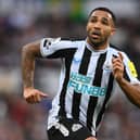 Callum Wilson admitted his recent finishing has left room for improvement (Image: Getty Images)