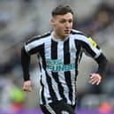 Newcastle United striker Dylan Stephenson. (Photo by Stu Forster/Getty Images)