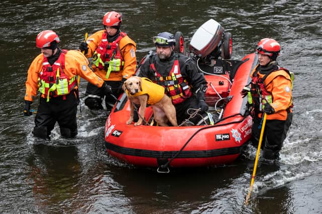 A search and rescue dog sits along Lancashire Fire and Rescue Service during it search for Nicola.