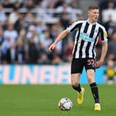 Newcastle United attacking midfielder Elliot Anderson. (Photo by Stu Forster/Getty Images)