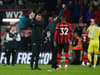 ‘Deserved’ - Bournemouth boss delivers debatable verdict on Newcastle United draw