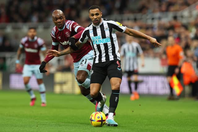 Callum Wilson says opponents come to Newcastle wanting a draw (Image: Getty Images)