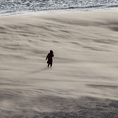 A woman and her dog battle the rolling sands on Tynemouth beach.