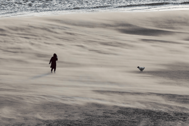 A woman and her dog battle the rolling sands on Tynemouth beach.