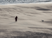 A woman and her dog battle the rolling sands on Tynemouth beach.