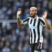 Newcastle United midfielder Joelinton. (Photo by Michael Regan/Getty Images)