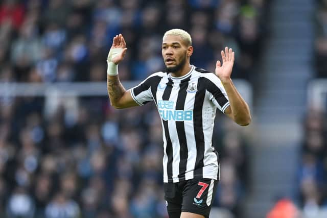 Newcastle United midfielder Joelinton. (Photo by Michael Regan/Getty Images)