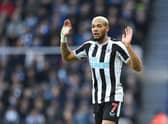 Newcastle United midfielder Joelinton. (Photo by Michael Regan/Getty Images)