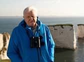 Sir David Attenborough presents Wild Isles