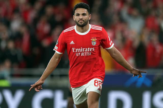 Newcastle United have been linked with Goncalo Ramos (Image: Getty Images) 