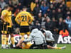 Wolves confirm fresh injury blow as Julen Lopetegu makes big Newcastle United claim