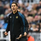 Wolves boss Julen Lopetegui. (Photo by Michael Regan/Getty Images)