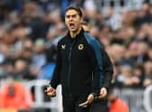 Wolves boss Julen Lopetegui. (Photo by Michael Regan/Getty Images)