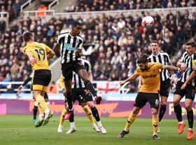 Newcastle United striker Alexander Isak. (Photo by Naomi Baker/Getty Images)