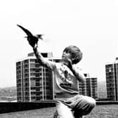 Boy With Pigeon (1989) Elswick Revisited Tish Murtha (c) Ella Murtha
