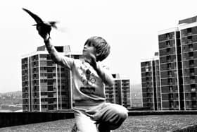 Boy With Pigeon (1989) Elswick Revisited Tish Murtha (c) Ella Murtha
