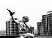Boy With Pigeon (1989) Elswick Revisited Tish Murtha (c) Ella Murtha