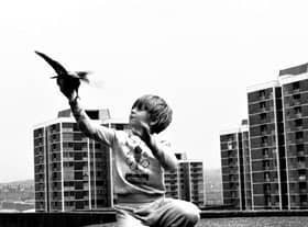 Boy With Pigeon (1989) Elswick Revisited Tish Murtha (c) Ella Murtha