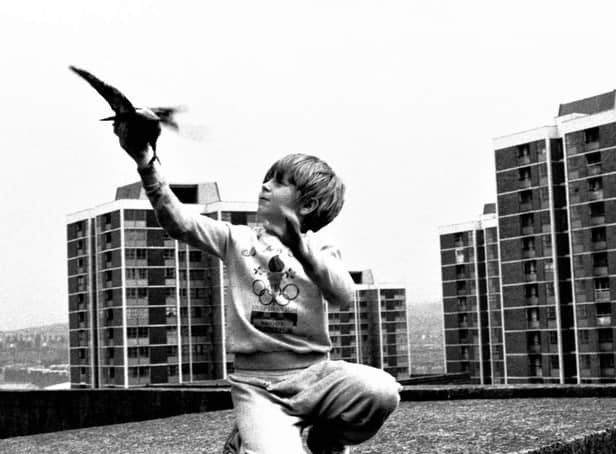 Boy With Pigeon (1989) Elswick Revisited Tish Murtha (c) Ella Murtha