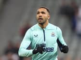 Newcastle United striker Callum Wilson. (Photo by George Wood/Getty Images)