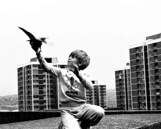 2 Boy With Pigeon (1989) (copyright Ella Murtha)